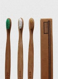 ecofriendly toothbrush